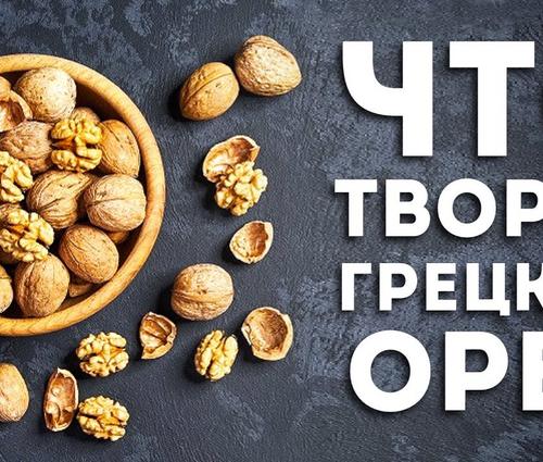 Полезные свойства грецких орехов